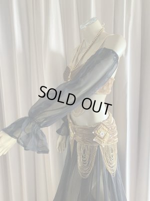 画像5: ゴールデンエラスタイル・ブラベルトコスチューム(スカート、スリーブ、ベール付き）