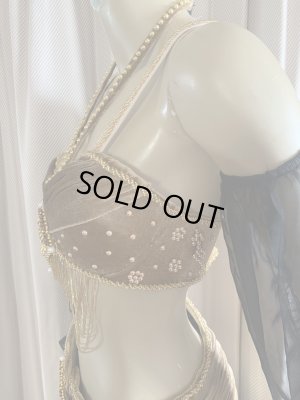 画像7: ゴールデンエラスタイル・ブラベルトコスチューム(スカート、スリーブ、ベール付き）