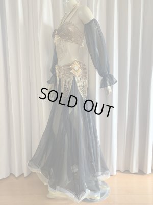 画像9: ゴールデンエラスタイル・ブラベルトコスチューム(スカート、スリーブ、ベール付き）