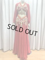 ゴールデンエラスタイル・ブラベルトコスチューム(スカート、アーム、バンド、ベール付き）