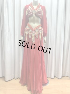 画像1: ゴールデンエラスタイル・ブラベルトコスチューム(スカート、アーム、バンド、ベール付き）