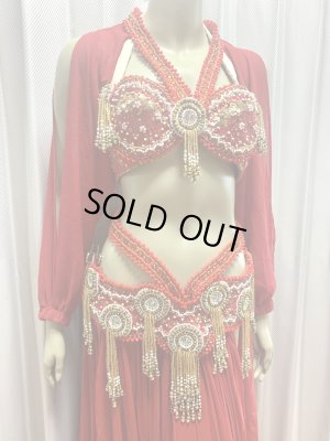 画像2: ゴールデンエラスタイル・ブラベルトコスチューム(スカート、アーム、バンド、ベール付き）