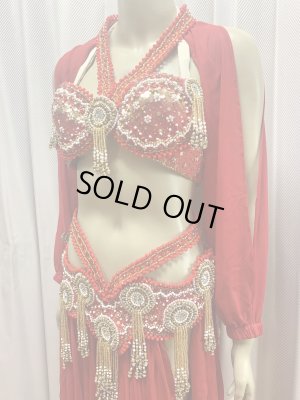 画像4: ゴールデンエラスタイル・ブラベルトコスチューム(スカート、アーム、バンド、ベール付き）