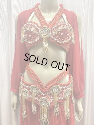 画像3: ゴールデンエラスタイル・ブラベルトコスチューム(スカート、アーム、バンド、ベール付き）