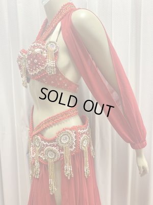 画像5: ゴールデンエラスタイル・ブラベルトコスチューム(スカート、アーム、バンド、ベール付き）