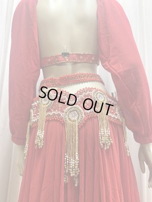 画像8: ゴールデンエラスタイル・ブラベルトコスチューム(スカート、アーム、バンド、ベール付き）