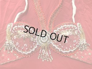 画像14: ゴールデンエラスタイル・ブラベルトコスチューム(スカート、アーム、バンド、ベール付き）