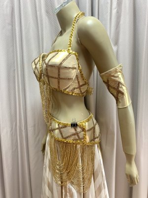 画像3: ゴールデンエラスタイルブラベルトコスチューム（アーム、ベール200×140cm付き）