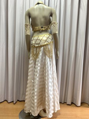 画像5: ゴールデンエラスタイルブラベルトコスチューム（アーム、ベール200×140cm付き）