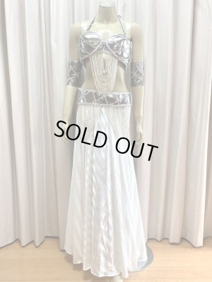 画像1: ゴールデンエラスタイルブラベルトコスチューム（アーム、ベール200×140cm付き）