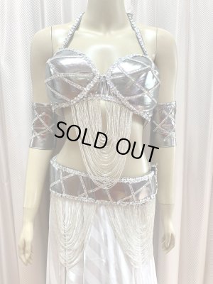 画像2: ゴールデンエラスタイルブラベルトコスチューム（アーム、ベール200×140cm付き）