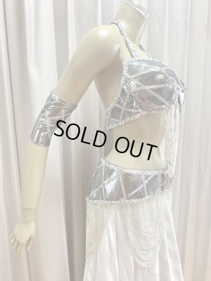 画像3: ゴールデンエラスタイルブラベルトコスチューム（アーム、ベール200×140cm付き）