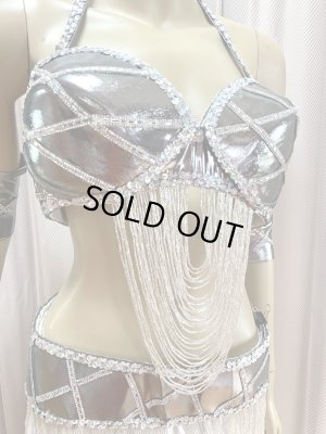 画像4: ゴールデンエラスタイルブラベルトコスチューム（アーム、ベール200×140cm付き）