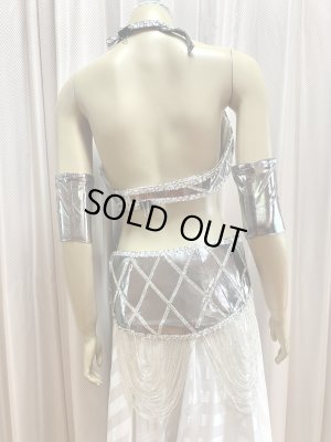 画像5: ゴールデンエラスタイルブラベルトコスチューム（アーム、ベール200×140cm付き）