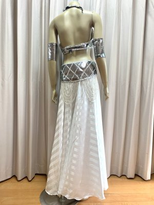 画像6: ゴールデンエラスタイルブラベルトコスチューム（アーム、ベール200×140cm付き）