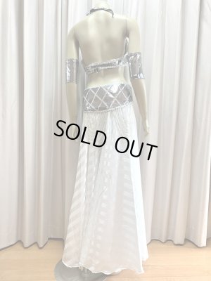 画像6: ゴールデンエラスタイルブラベルトコスチューム（アーム、ベール200×140cm付き）