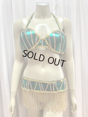 画像2: ゴールデンエラ・ブラベルト付きワンピースコスチューム（ヘッドベール付き）