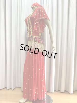 画像6: ゴールデンエラ・ブラベルト付きワンピースコスチューム（ヘッドベール付き）