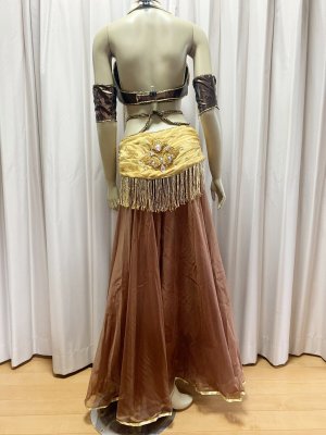 画像8: オールドスタイル・バイカラーブラベルトコスチューム