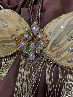 画像10: オールドスタイル・バイカラーブラベルトコスチューム