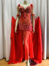 70-80's オールドスタイルブラベルトコスチューム