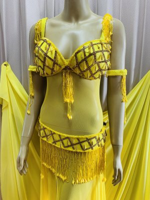 画像2: 70-80's オールドスタイルブラベルトコスチューム