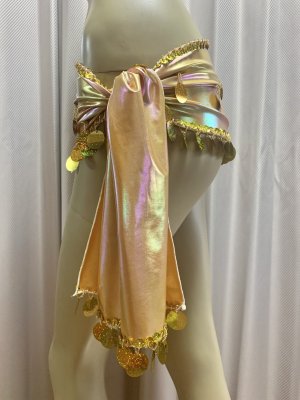 画像2: 衣装にプラス！コインスパンコール付きヒップスカーフ