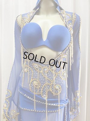 画像4: Hanine特注パワーネット生地サイーディドレス