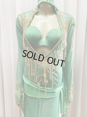 画像5: Hanine特注パワーネット生地サイーディドレス