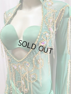 画像6: Hanine特注パワーネット生地サイーディドレス