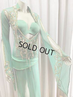 画像3: Hanine特注パワーネット生地サイーディドレス