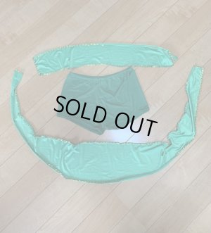 画像10: Hanine特注パワーネット生地サイーディドレス