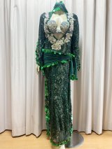 Hanine特注ブラカップ付きサイーディドレス(5点セット）