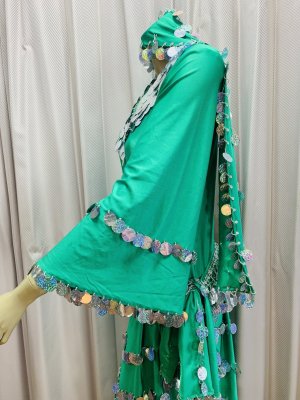 画像3: サイーディ、ガワージードレス