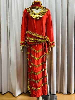 画像1: 【訳あり価格】サイーディ、ガワージードレス