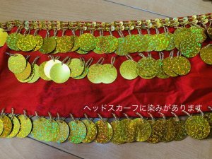 画像6: 【訳あり価格】サイーディ、ガワージードレス