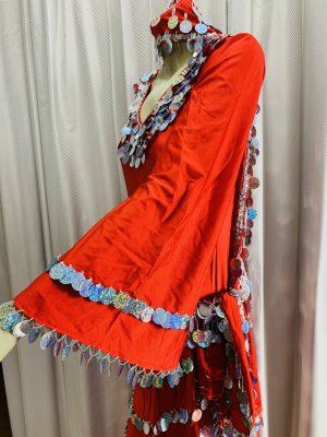 画像3: サイーディ、ガワージードレス