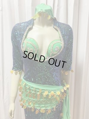 画像6: スパンコールバラディドレス（5点セット）