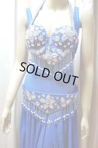 画像4: ゴールデンエラモデルブラベルトコスチューム(ネット、アーム、スカート付き） (4)