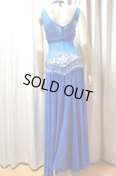 画像5: ゴールデンエラモデルブラベルトコスチューム(ネット、アーム、スカート付き） (5)