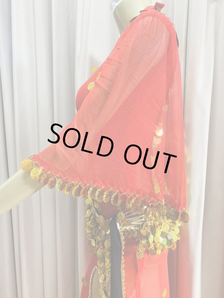 画像3: シャマダン・アワーリムワンピースドレス(5点セット） (3)