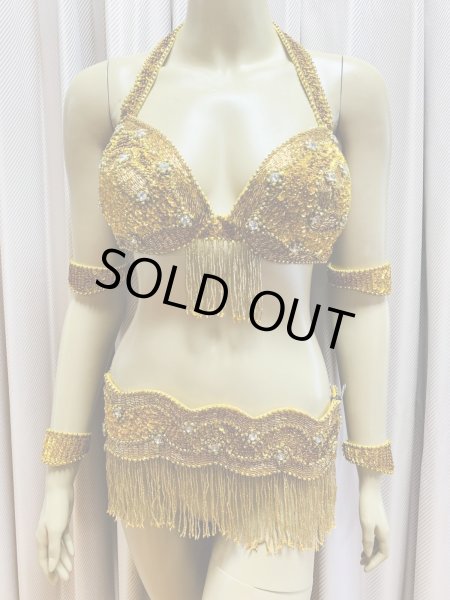 画像1: フリンジブラベルトコスチューム (1)