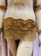 画像3: フリンジブラベルトコスチューム (3)