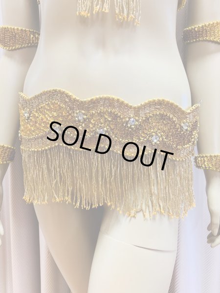 画像3: フリンジブラベルトコスチューム (3)