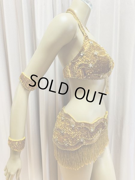 画像4: フリンジブラベルトコスチューム (4)