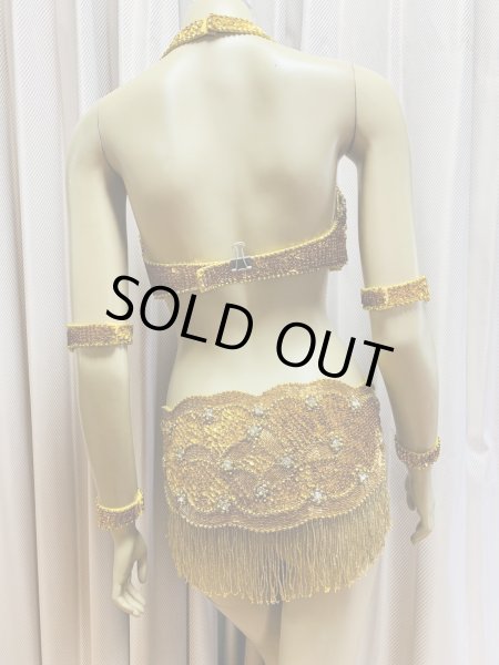 画像5: フリンジブラベルトコスチューム (5)