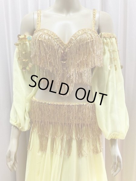 画像2: キャバレースタイル、フリンジブラベルト(スカート＆アーム付き） (2)