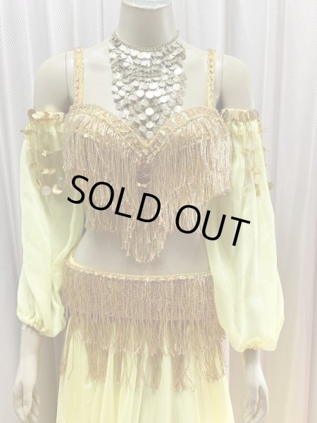 画像3: キャバレースタイル、フリンジブラベルト(スカート＆アーム付き） (3)