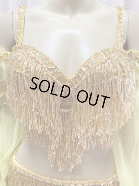 画像4: キャバレースタイル、フリンジブラベルト(スカート＆アーム付き） (4)