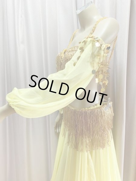 画像5: キャバレースタイル、フリンジブラベルト(スカート＆アーム付き） (5)